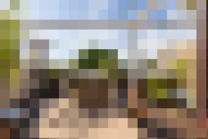 Bergselaan 192 B Rotterdam thumbnail 42