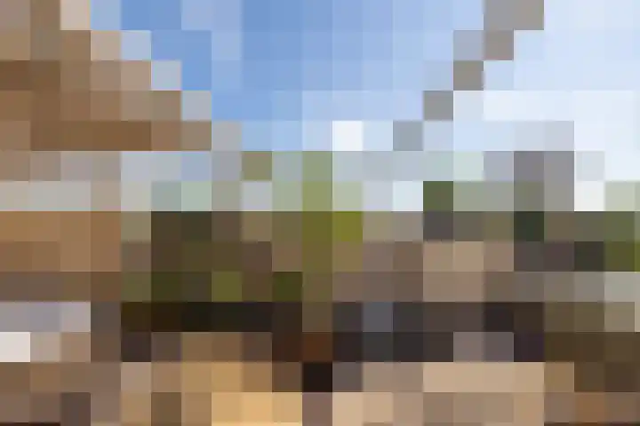 Bergselaan 192 B Rotterdam thumbnail 43