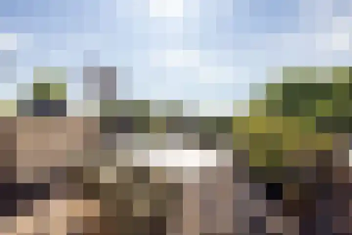 Bergselaan 192 B Rotterdam thumbnail 46