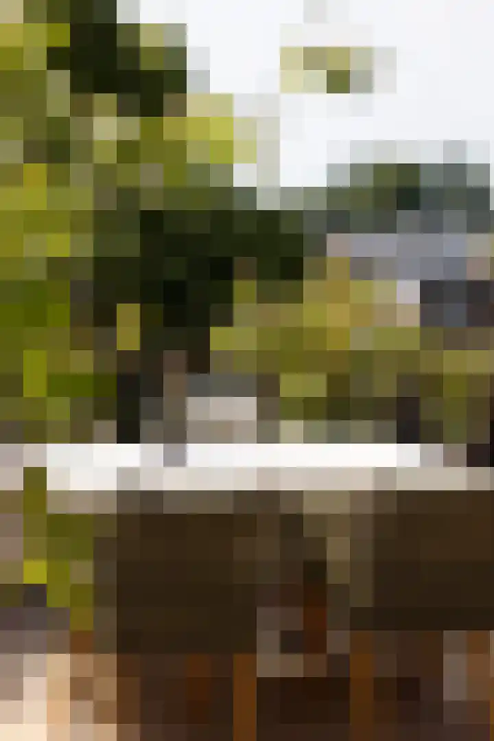 Bergselaan 192 B Rotterdam thumbnail 47
