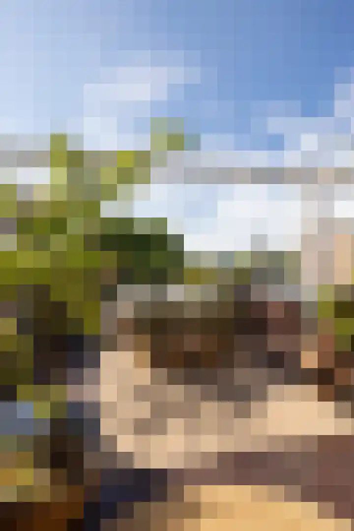 Bergselaan 192 B Rotterdam thumbnail 51