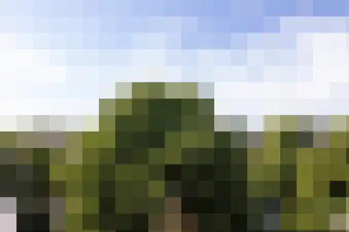 Bergselaan 192 B Rotterdam thumbnail 52