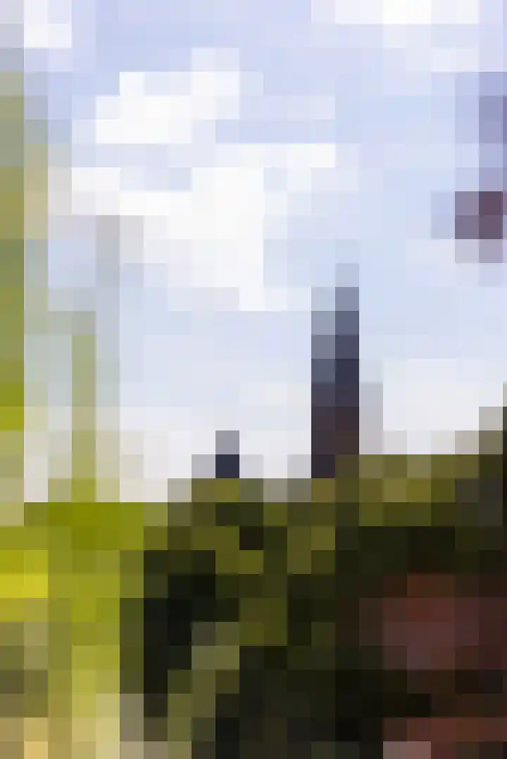Bergselaan 192 B Rotterdam thumbnail 55