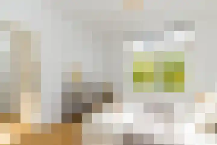Bergselaan 223 A Rotterdam thumbnail 33