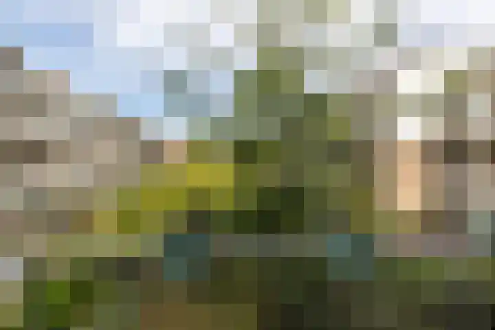 Bergselaan 223 A Rotterdam thumbnail 37