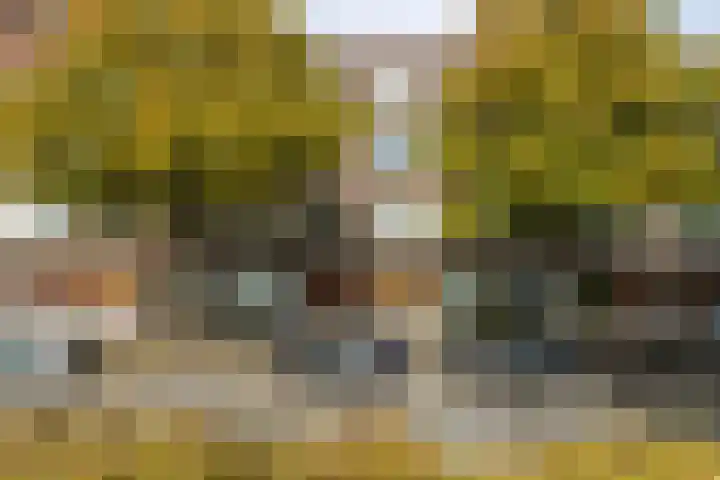 Bergselaan 223 A Rotterdam thumbnail 38