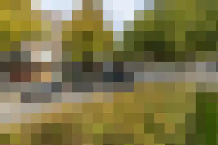 Bergselaan 223 A Rotterdam thumbnail 6