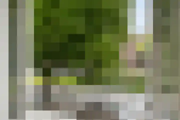 Bergselaan 245 B Rotterdam thumbnail 29