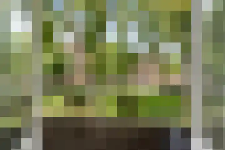 Bergselaan 245 B Rotterdam thumbnail 30