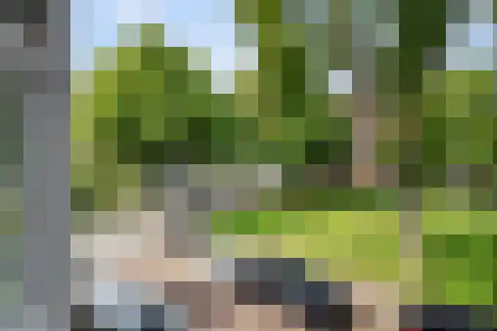 Bergselaan 245 B Rotterdam thumbnail 31