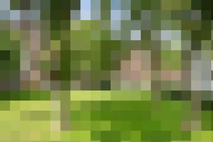 Bergselaan 245 B Rotterdam thumbnail 32