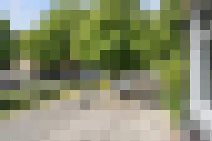 Bergselaan 245 B Rotterdam thumbnail 33