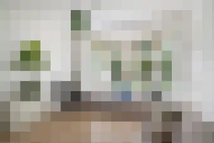 Bergselaan 245 B Rotterdam thumbnail 4