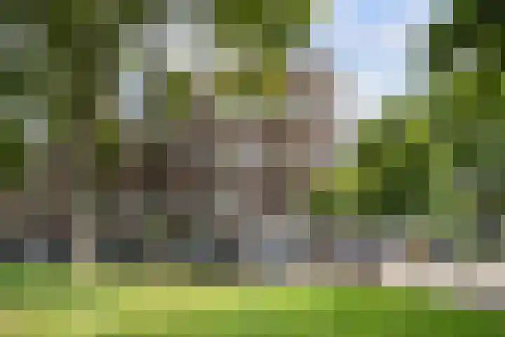 Bergselaan 245 B Rotterdam thumbnail 5