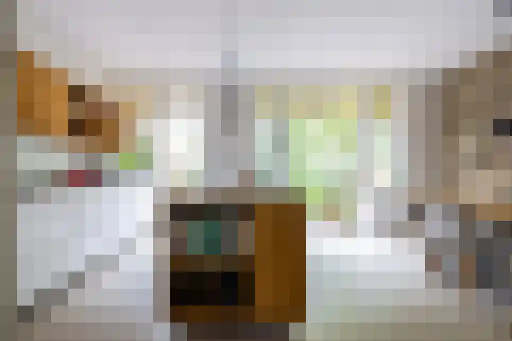 Bergselaan 262 Rotterdam thumbnail 5