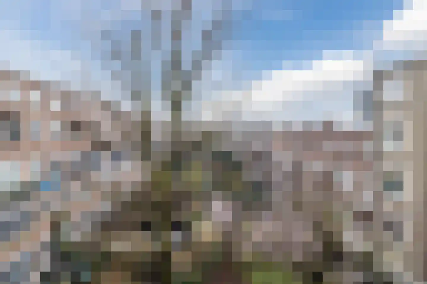 Bergselaan 263 D Rotterdam thumbnail 9