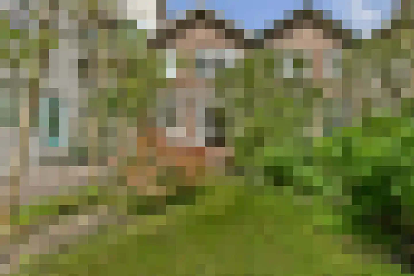 Bergselaan 266 Rotterdam thumbnail 16
