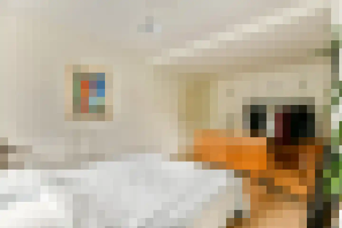 Bergselaan 266 Rotterdam thumbnail 19