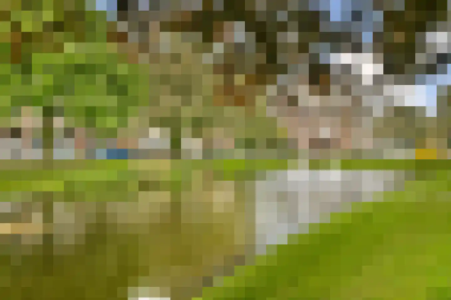 Bergselaan 266 Rotterdam thumbnail 31