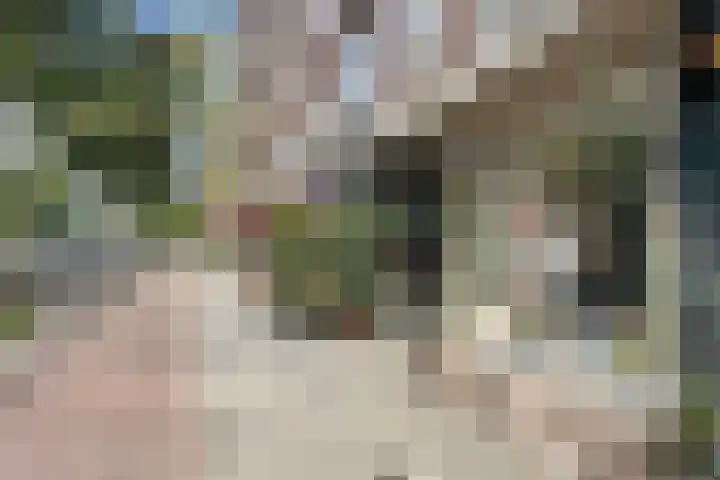 Bergselaan 277 C Rotterdam thumbnail 26