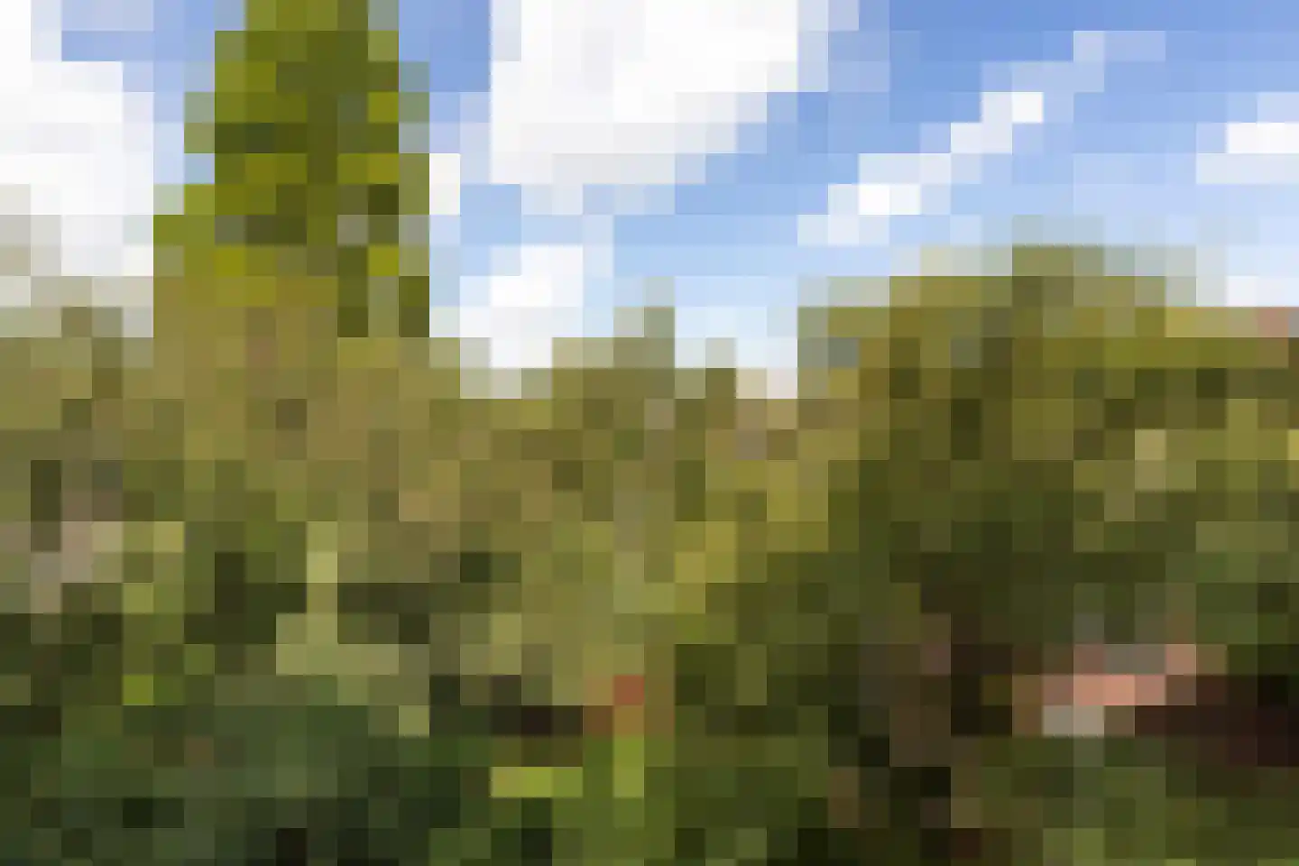 Bergselaan 285 A Rotterdam thumbnail 14