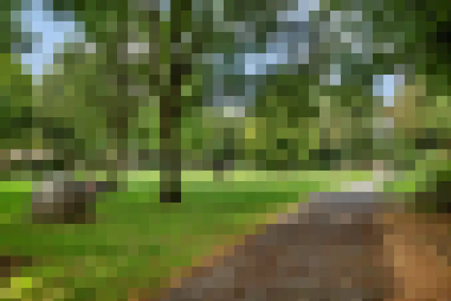 Bergselaan 285 B Rotterdam thumbnail 5