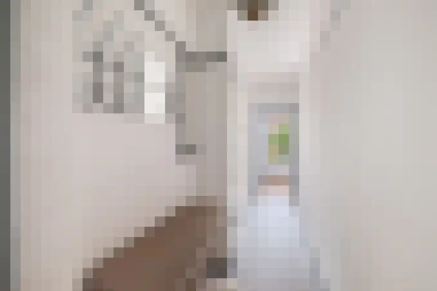 Bergselaan 287 D Rotterdam thumbnail 6