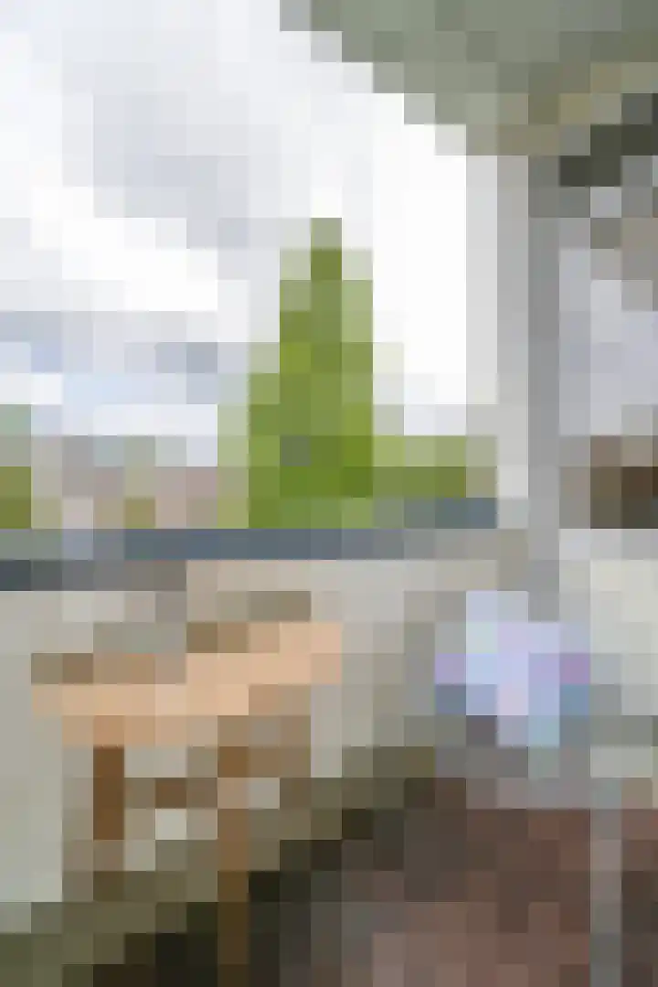 Bergselaan 293 B Rotterdam thumbnail 11