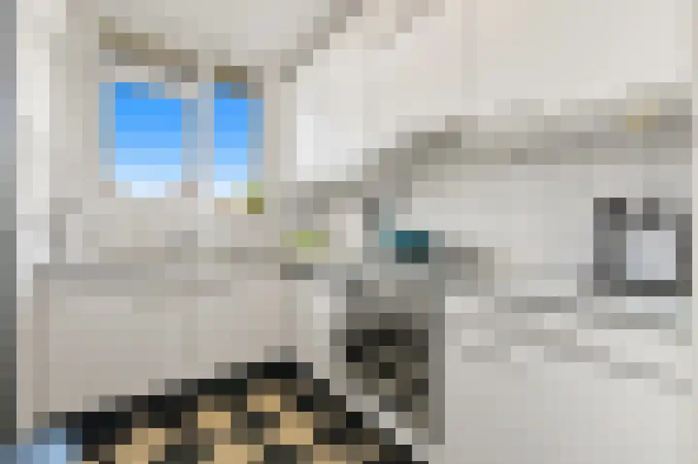 Bergselaan 297 C Rotterdam thumbnail 12