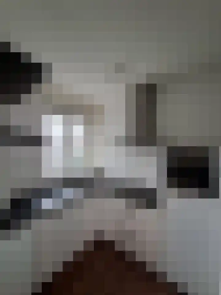 Bergselaan 30 B Rotterdam thumbnail 5