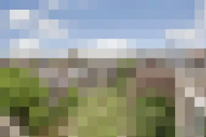 Bergselaan 332 A 02 Rotterdam thumbnail 33