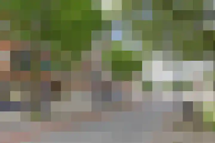 Bergselaan 332 A 02 Rotterdam thumbnail 41