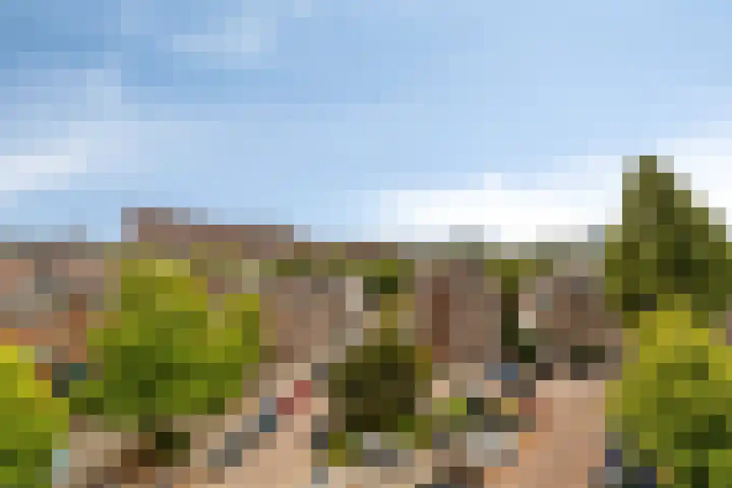 Bergselaan 34 D Rotterdam thumbnail 31
