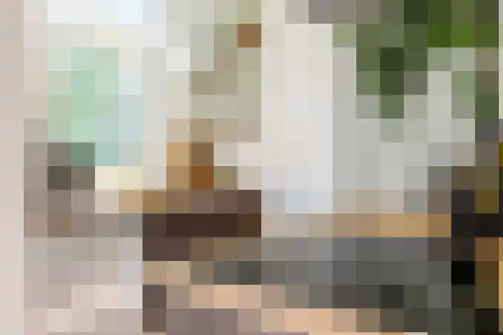 Bergselaan 342 B Rotterdam thumbnail 12