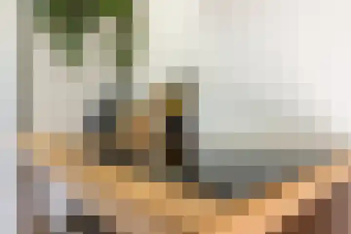 Bergselaan 342 B Rotterdam thumbnail 13
