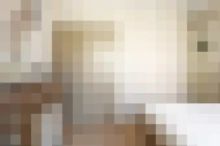 Bergselaan 342 B Rotterdam thumbnail 32