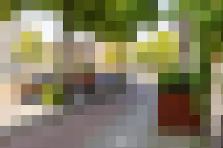 Bergselaan 342 B Rotterdam thumbnail 34