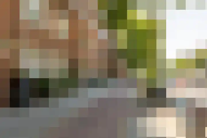 Bergselaan 342 B Rotterdam thumbnail 35