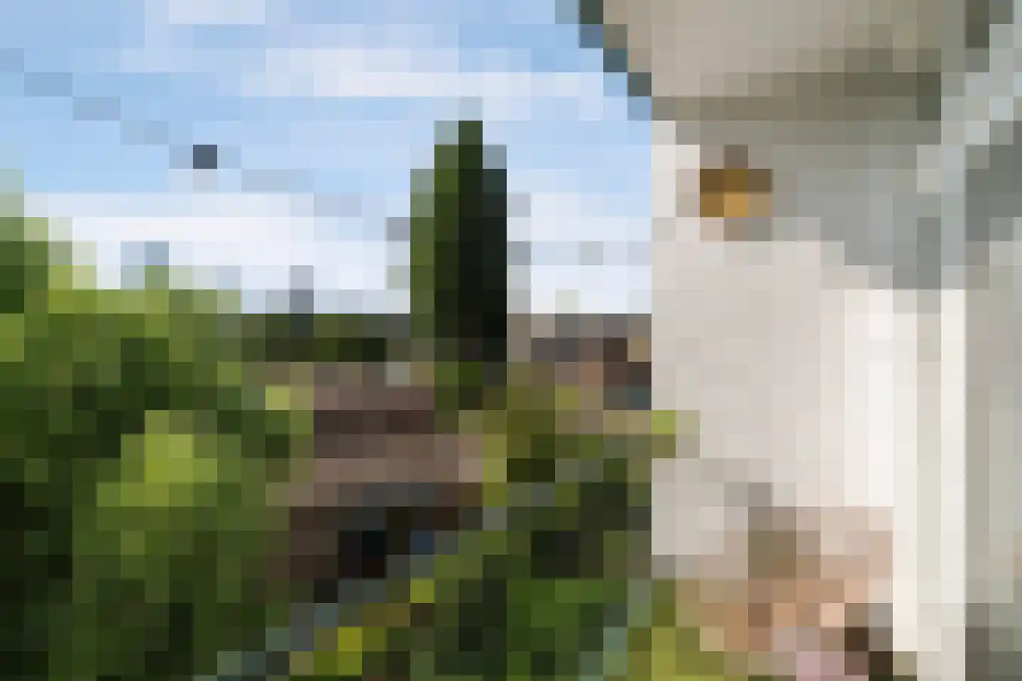 Bergselaan 344 C Rotterdam thumbnail 12