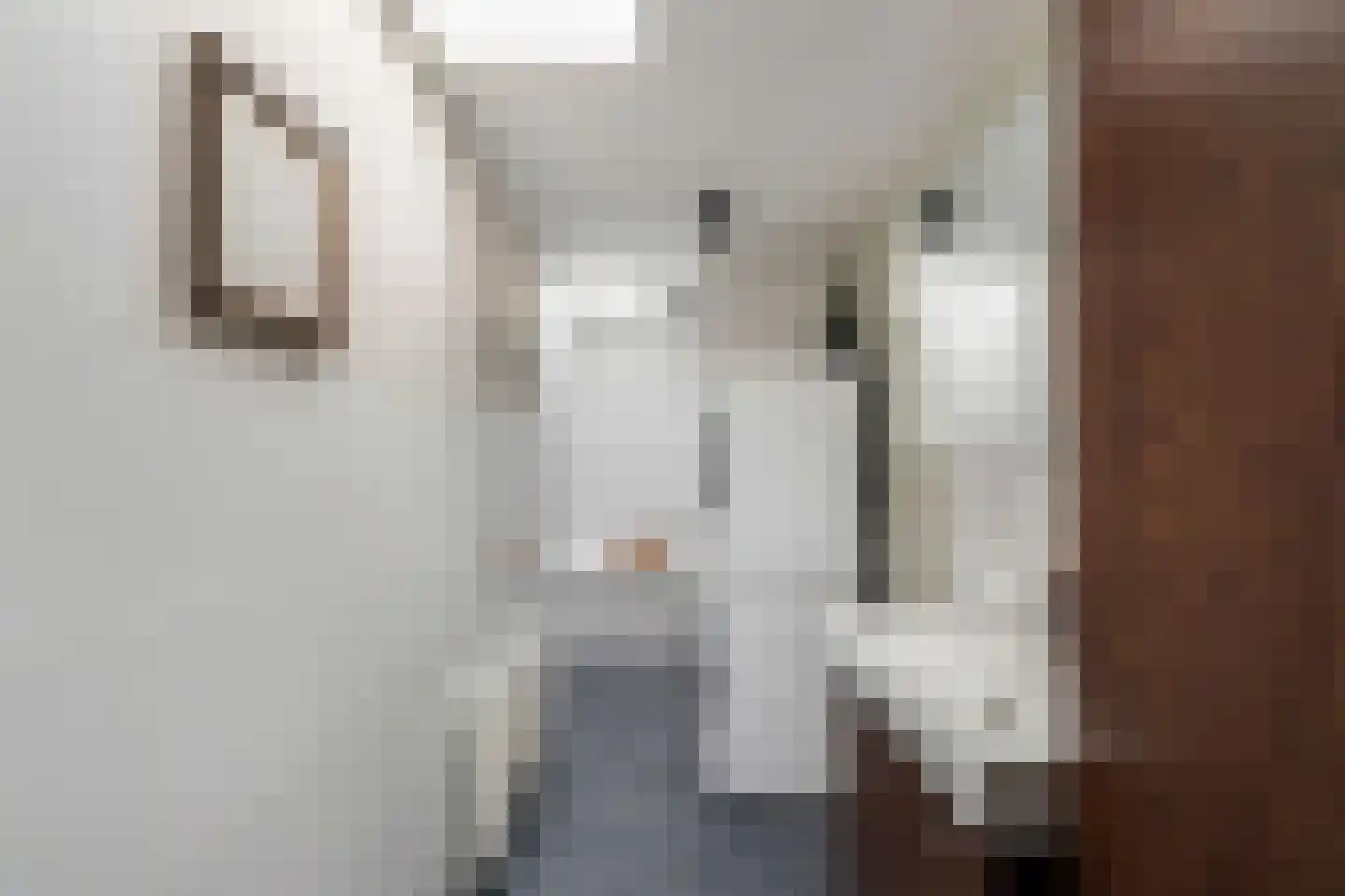 Bergselaan 344 C Rotterdam thumbnail 24