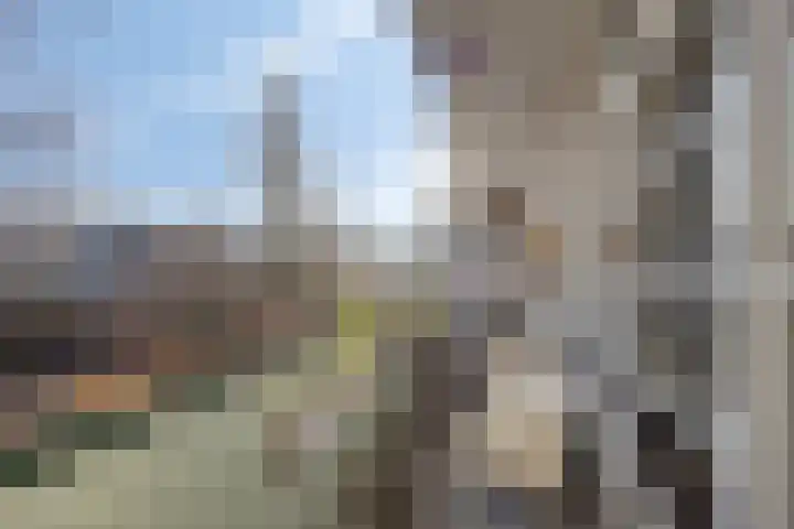 Bergselaan 344 D Rotterdam thumbnail 10