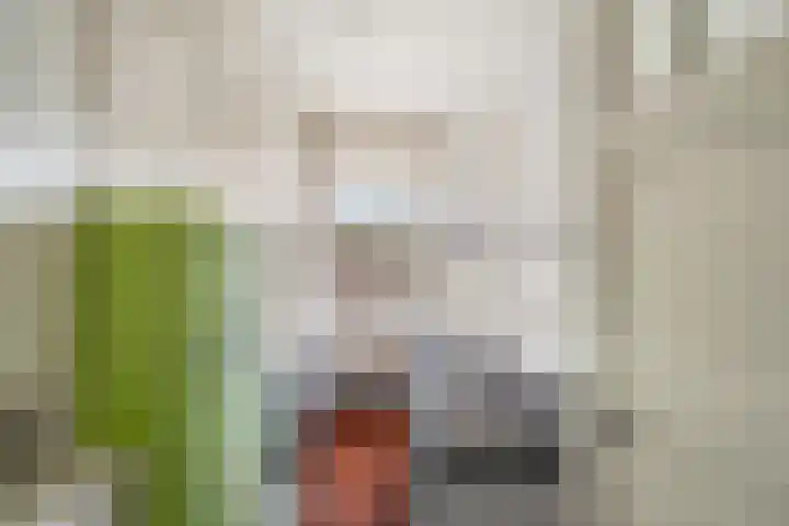 Bergselaan 354 C Rotterdam thumbnail 19