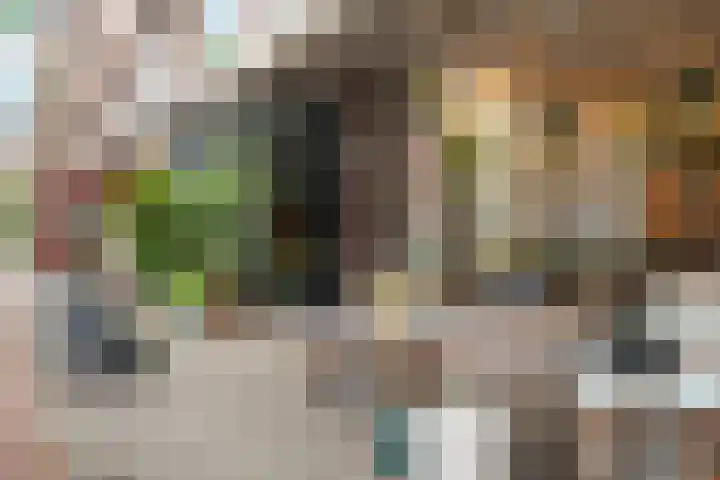Bergselaan 354 C Rotterdam thumbnail 28