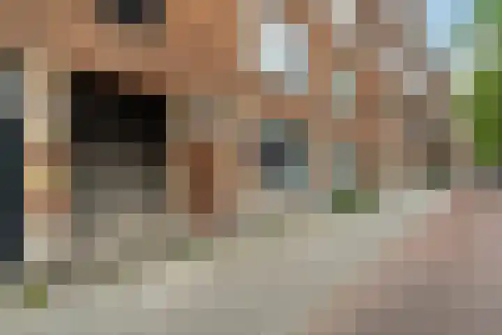Bergselaan 354 C Rotterdam thumbnail 29