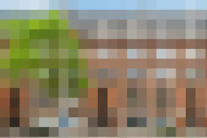 Bergselaan 354 C Rotterdam thumbnail 4