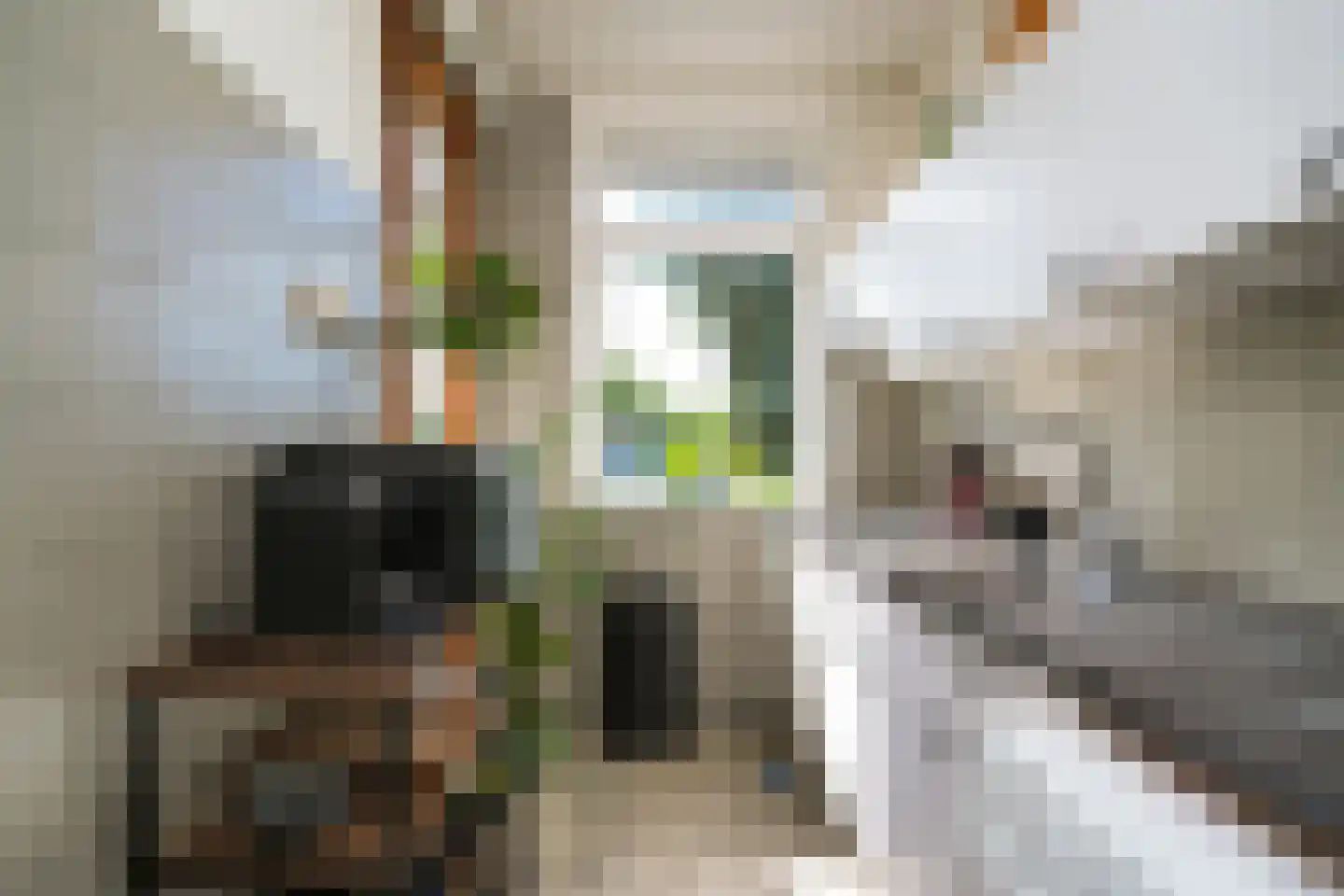 Bergselaan 356 A Rotterdam thumbnail 5