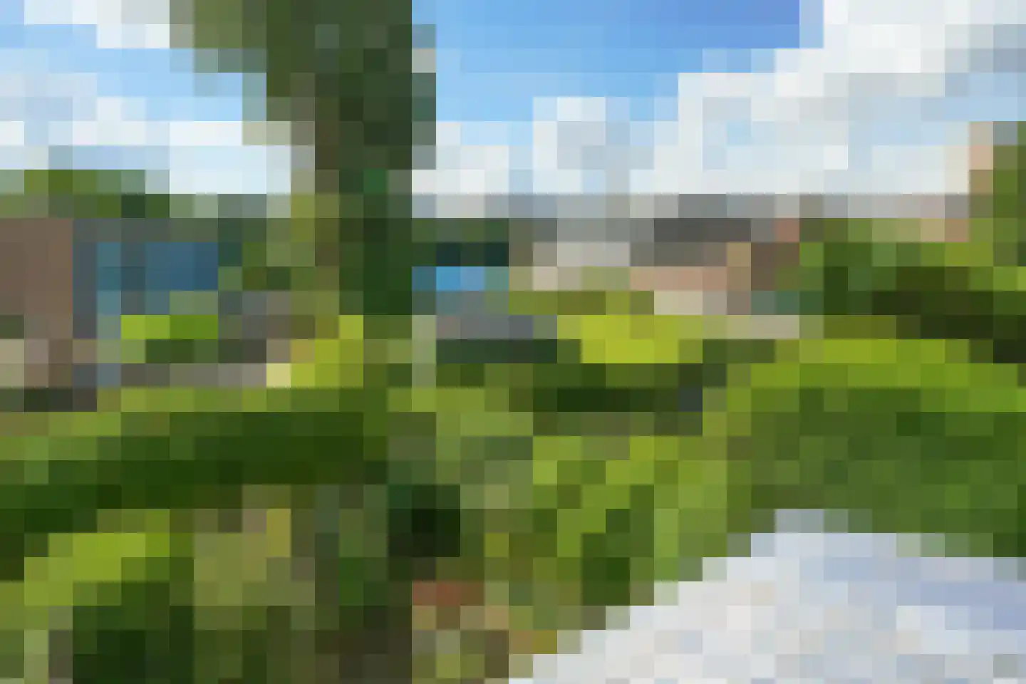 Bergselaan 356 A Rotterdam thumbnail 8