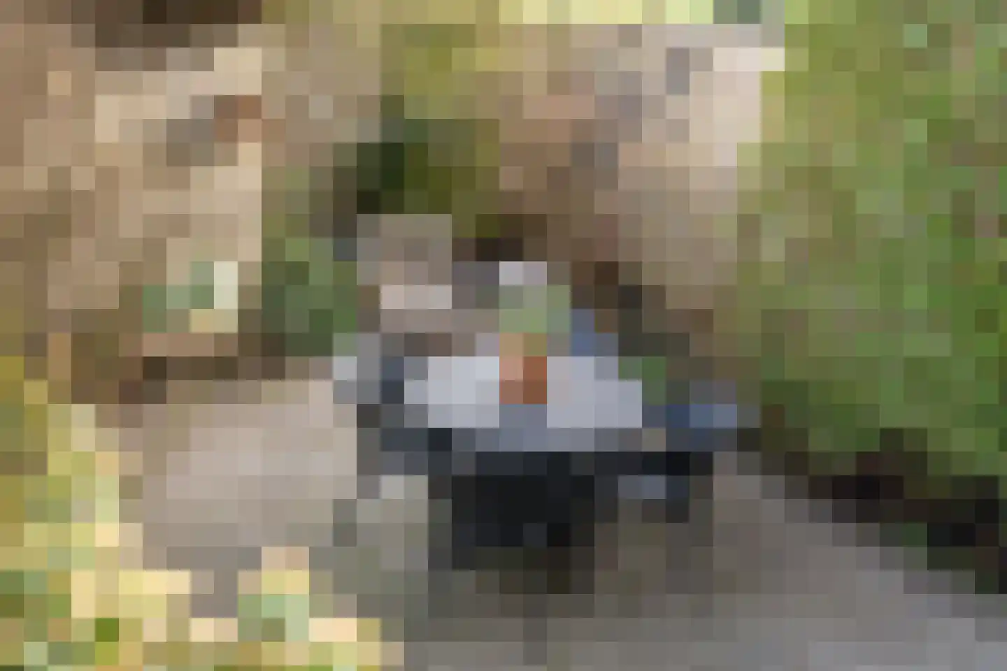 Bergselaan 358 C Rotterdam thumbnail 13