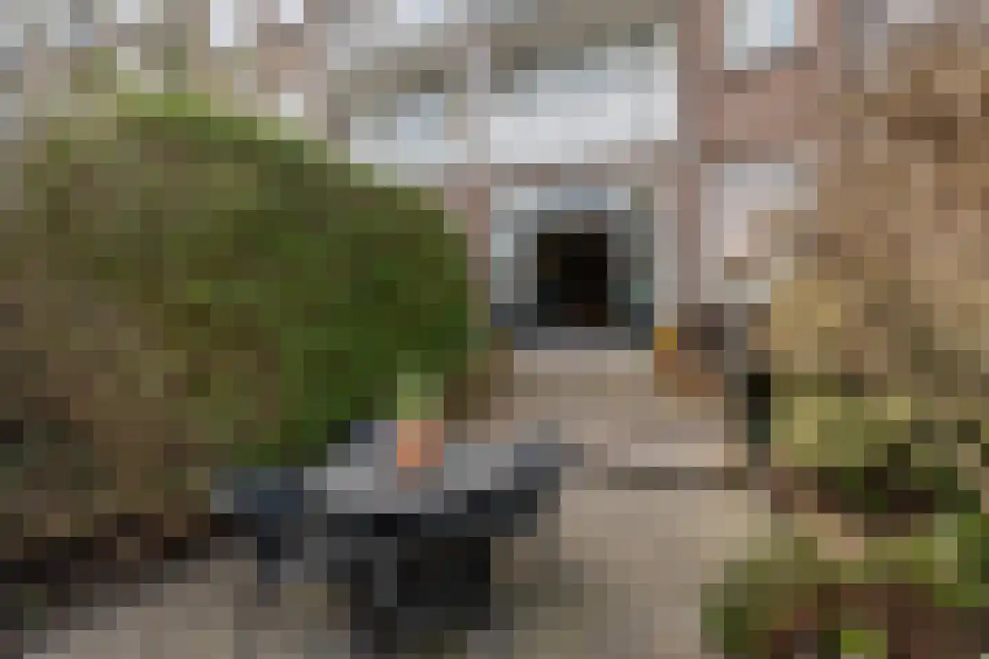 Bergselaan 358 C Rotterdam thumbnail 16