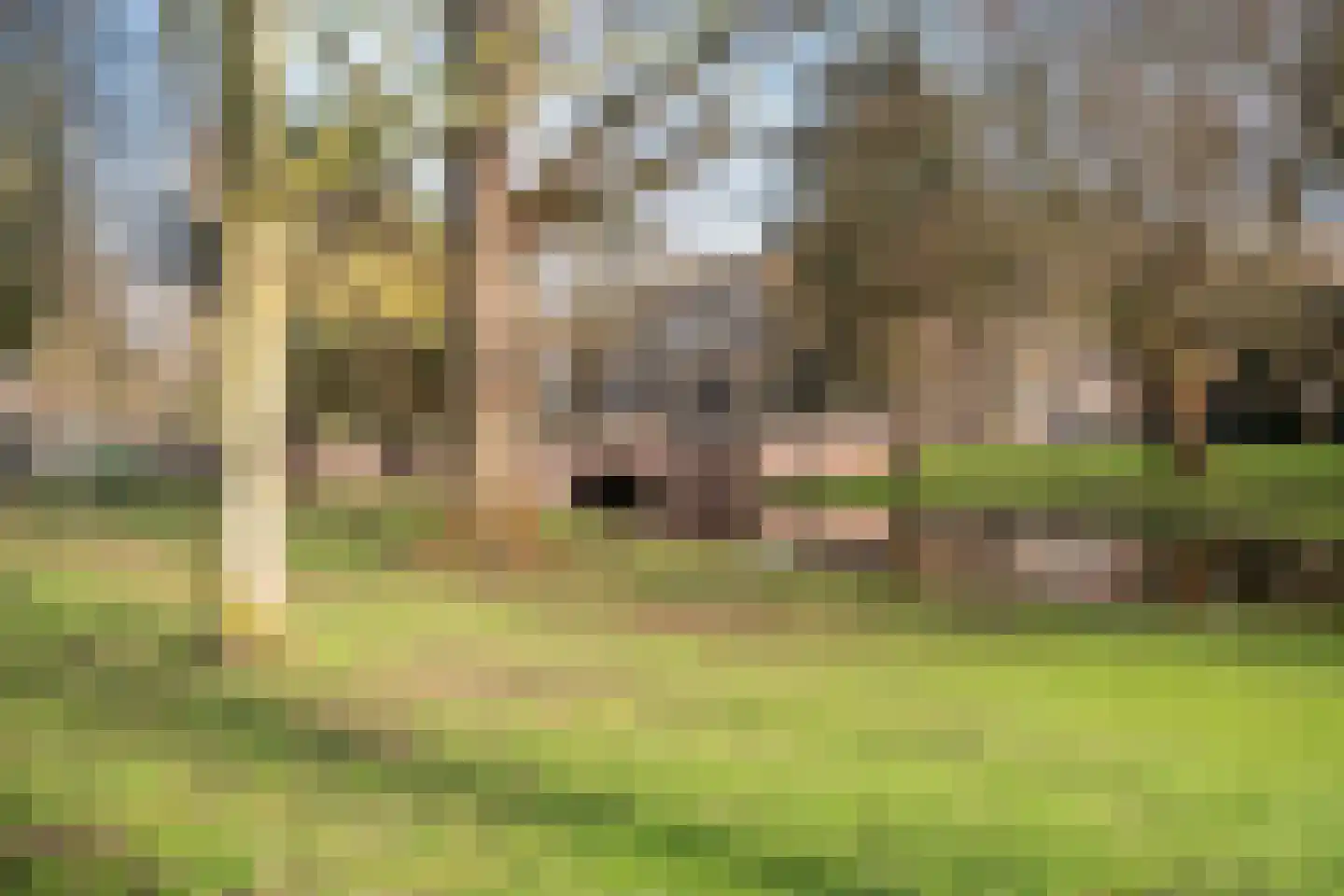 Bergselaan 358 C Rotterdam thumbnail 33